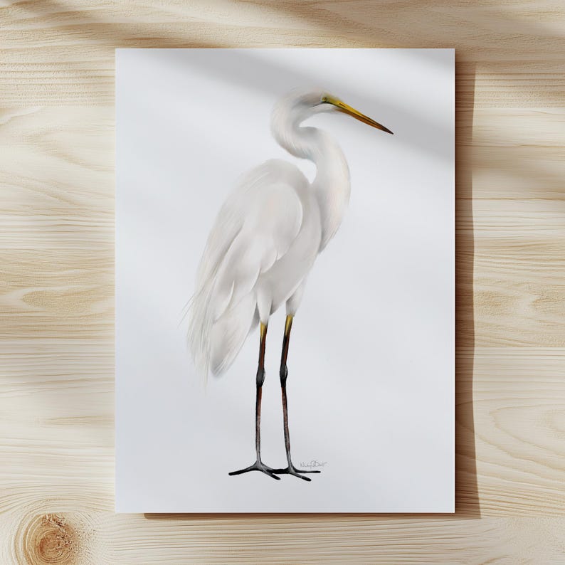 Egret Watercolor, Tall White Heron Art Print, Coastal Bird Decor image 3