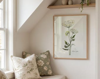 Cow Parsley Art Print: Queen Anne's Lace, Wild Chervil Wildflower Illustration