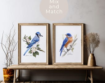 Bird Art Prints: Backyard Garden Birds Wall Decor, Set of 2