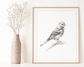 Bird Pencil Drawing Print, Bird Gift, Grey Bird Picture, Chaffinch Sketch, Woodland Wall Decor, Minimal Bird Sketch, Gift for Grandma,