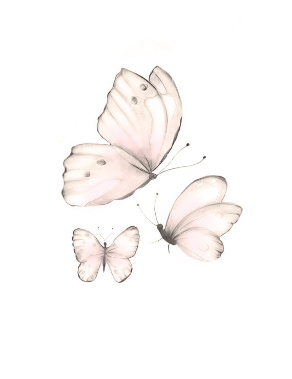 Pink Butterfly Pint Sweet Blush Butterflies Pencil Etsy