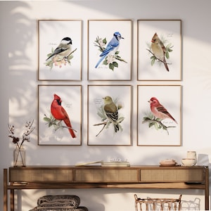 Backyard Birds Art Prints: Set of 6 Midwest Garden Birds & Flowers image 3