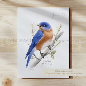 Backyard Birds Art Prints: Set of 6 Midwest Garden Birds & Flowers image 7