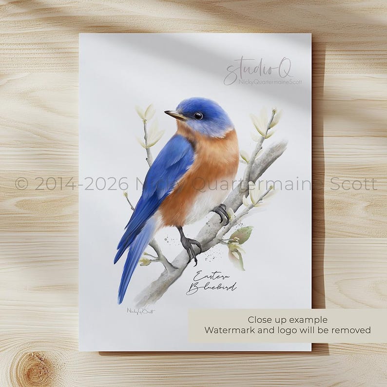 Backyard Birds Art Prints: Set of 6 Midwest Garden Birds & Flowers image 7