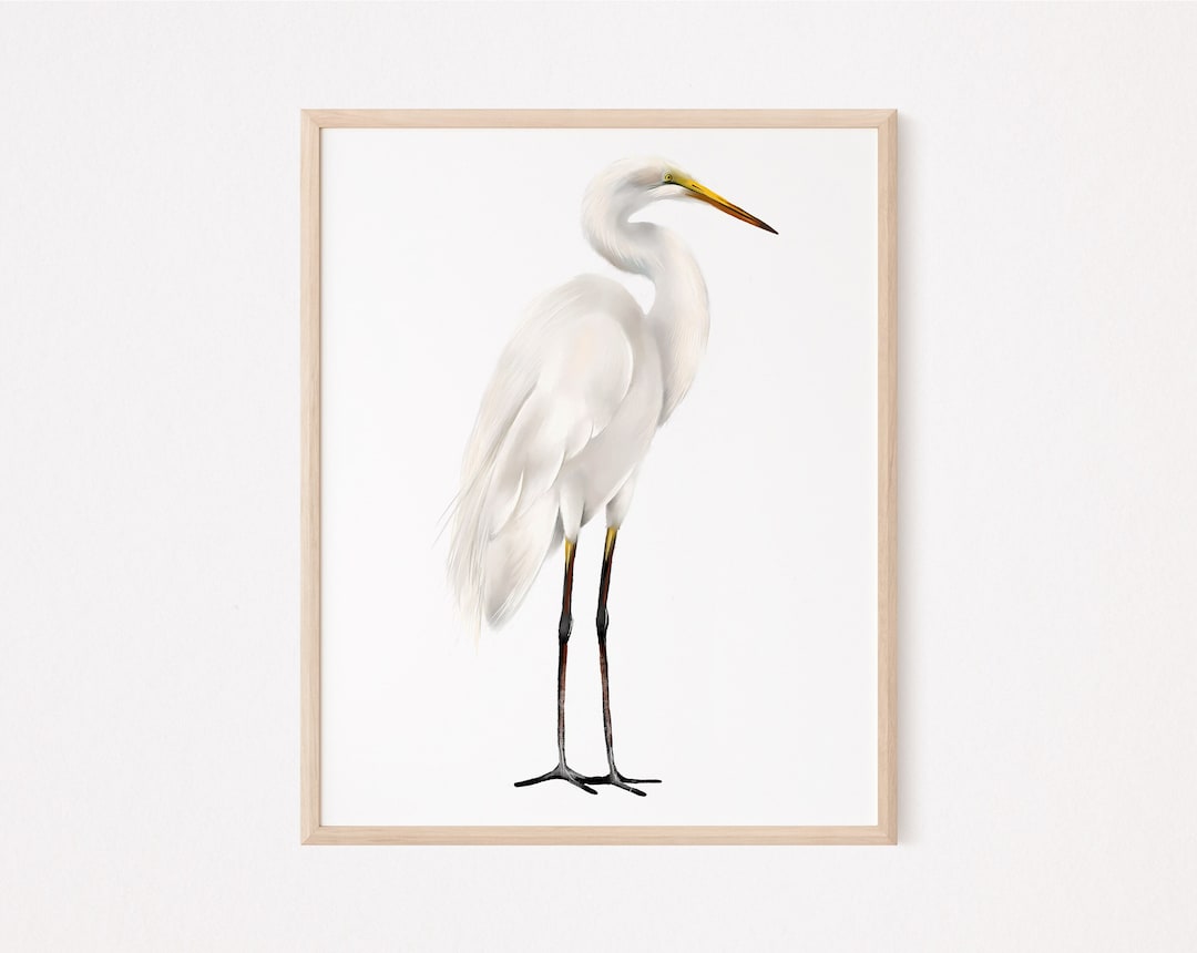 日本画 印有り 白鷺 額装 肉筆 鳥 絵画 日本画 印有り 白鷺 額装 肉筆 鳥 絵画