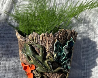 Lizard wall art orange mushroom hand sculpted planter unique handmade ceramic wall decor nature lover bark texture ready to hang weird plant