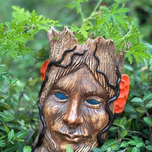 May include: A brown ceramic planter shaped like a face with blue eyes, orange ears, and black vine-like details. The planter is surrounded by green foliage, creating a natural, earthy aesthetic. The planter is designed to hold plants.