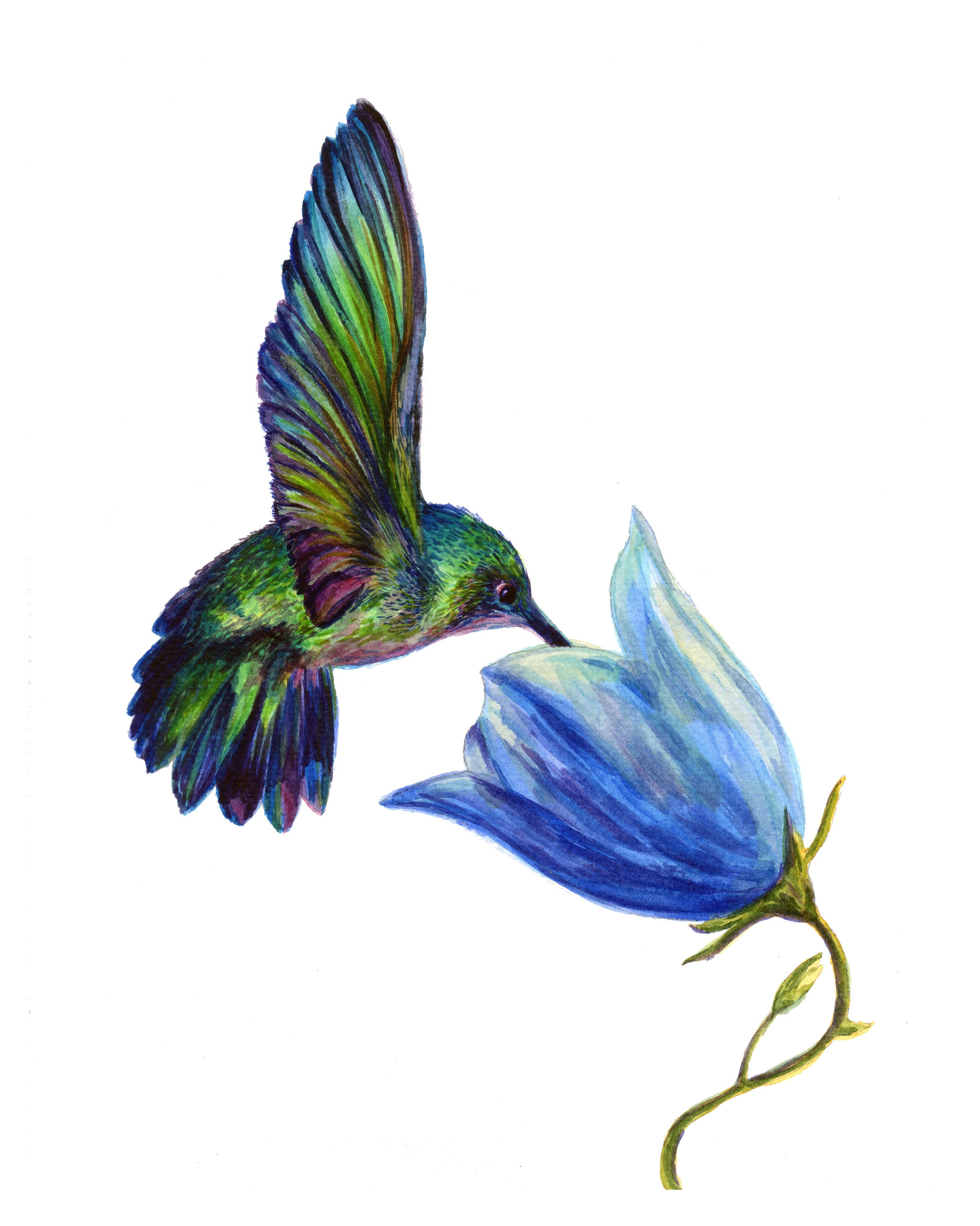 WOW! Black Watercolor Paper?!? Real-Time Hummingbird Tutorial 