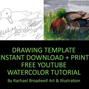 Mallard at Rest - Template Transfer for Watercolor YouTube Tutorial Video - Download and Print Instantly