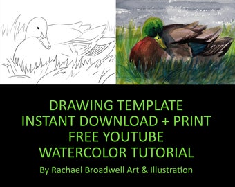 Mallard at Rest - Template Transfer for Watercolor YouTube Tutorial Video - Download and Print Instantly