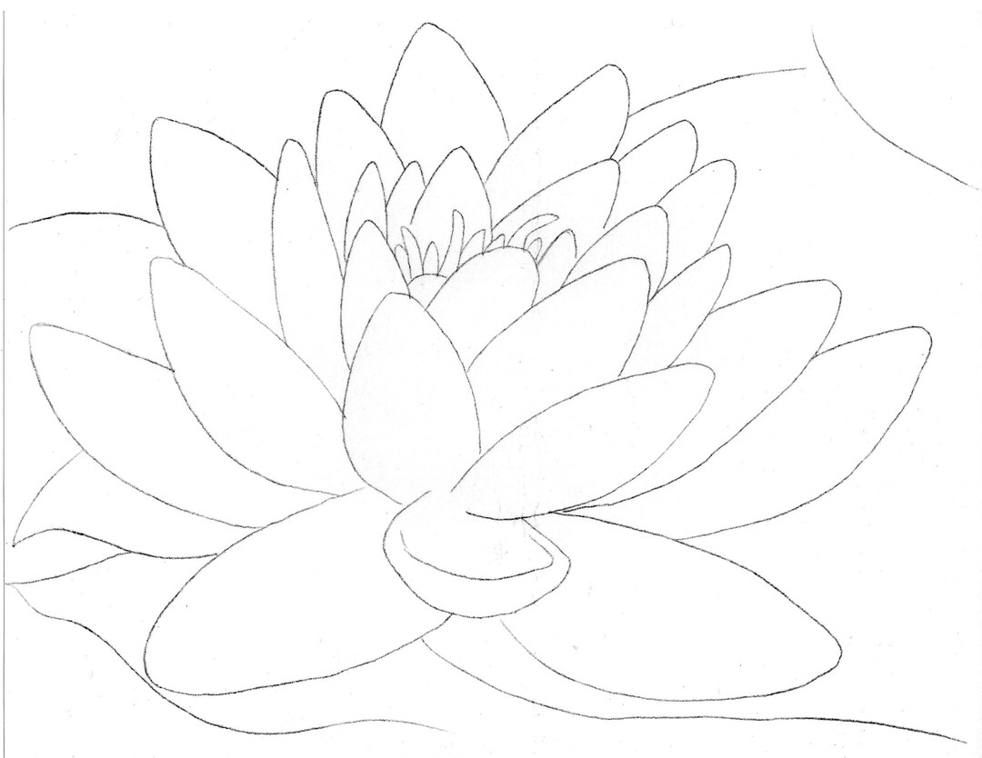 Lily Flower Template Transfer for Watercolor Youtube Tutorial Video