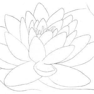 Lily Flower - Template Transfer for Watercolor YouTube Tutorial Video - Download and Print Instantly