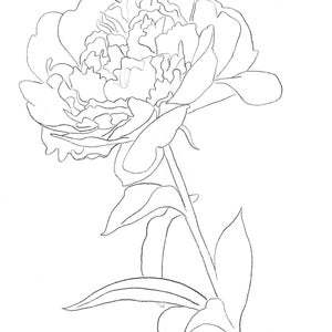 Pink Peony - Template Transfer for Watercolor YouTube Tutorial Video - Download and Print Instantly