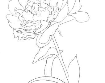 Pink Peony - Template Transfer for Watercolor YouTube Tutorial Video - Download and Print Instantly