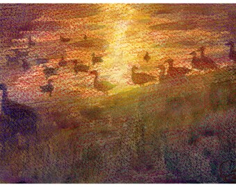 Sunbathed Ducks and Geese - Original Watercolor & Colored Pencil Painting Impressionist - Bird Art - Nature Impressionism