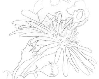 Bumble Bee on a Flower - Template Transfer for Watercolor YouTube Tutorial Video - Download and Print Instantly