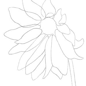Sunflower - Template Transfer for Watercolor YouTube Tutorial Video - Download and Print Instantly
