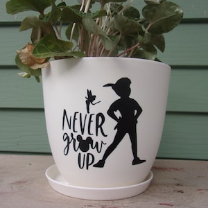 Peter Pan and Tinkerbell Plant Pot