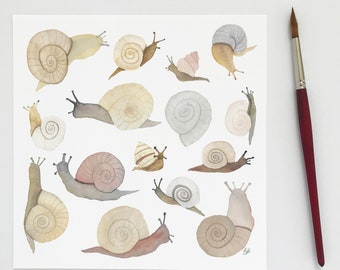Watercolor Snails Fine Art Print 8x8