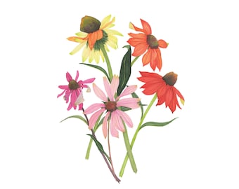 Watercolor Coneflowers Botanical Fine Art Print Three Sizes 4x6 5x7 8x10