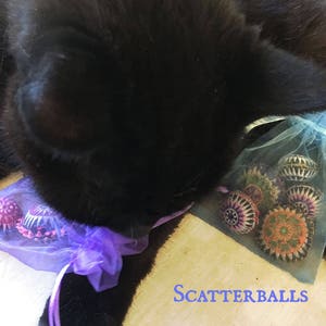 Scatterballs Cat Toys 3 pack or 5 pack Great Gift image 9