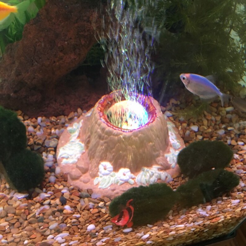 aquarium volcano
