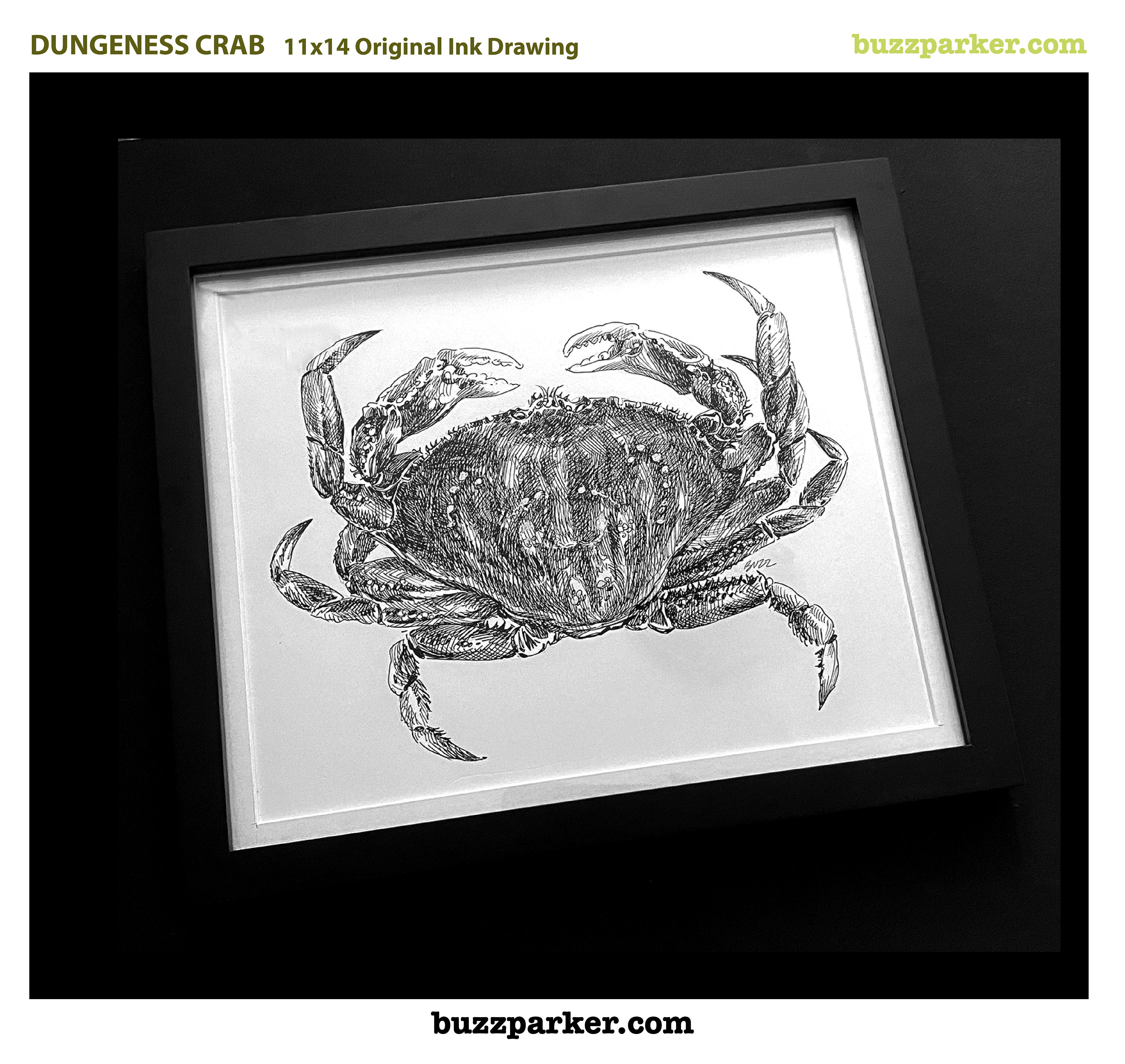 Dungeness Crab #1/1 Original 11x11 Framed Ink Drawing by Buzz Parker Dungeness Crab Trinidad Harbor Sea Dungee Crabs Fishing Ocean Art Inked
