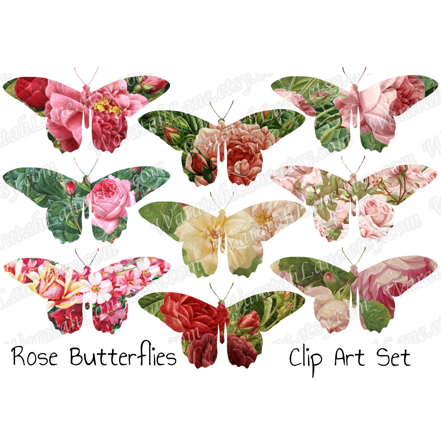 Digital Clip Art Butterflies Butterfly Clip Art Butterfly - Etsy Digital Clip Art Butterflies Butterfly Clip Art Butterfly - Etsy