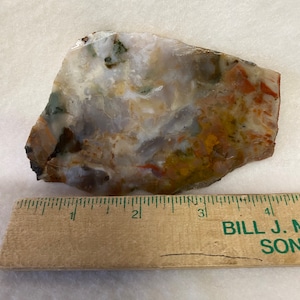 Slab: Coprolite (Fossilized Dinosaur Dung)