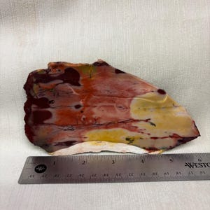 May include: A large, irregularly shaped piece of polished agate with a mix of red, orange, yellow, and brown colors. The agate is approximately 6 inches long and 4 inches wide.