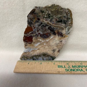 May include: A close-up of a multi-colored agate slab with brown, white, green, and red hues. The slab is approximately 3 inches long and is sitting on a wooden ruler.