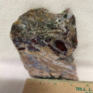 May include: A slab of agate with a variety of colors and patterns, including brown, white, green, and red. The agate is about 3 inches long and 2 inches wide.