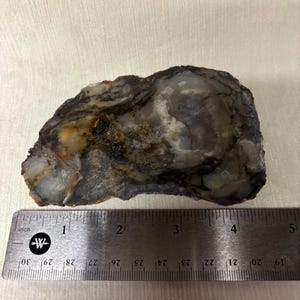 Skiva: Koprolit, fossiliserad dinosauriespillning