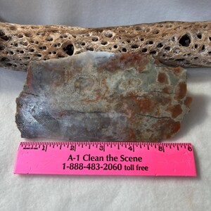 May include: A slab of polished stone with a mix of gray, orange, and white hues. The stone has a rough, natural edge and a smooth, polished surface. A pink ruler with text is in the foreground.