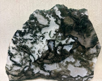 May include: A large, irregularly shaped slab of moss agate with a white and green swirling pattern. The agate measures approximately 4 inches in length.