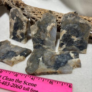 May include: Five irregularly shaped, gray and black stones with a natural, rough texture. The stones are arranged on a white surface, with a pink ruler in the foreground. A dried, light brown branch is in the background.