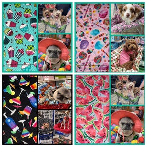 Fur Baby Shopping Cart Cover Reversible Food and Drink Prints with Leash Collar Hook by Paisley Paws Couture