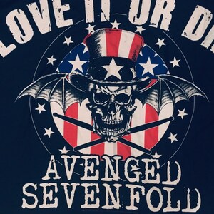 Flag poster Love it or die Skull 2006 Textile wallhanging