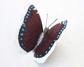 Item uit deze shop