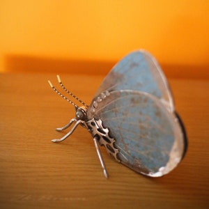 May include: A blue metal butterfly sculpture with intricate details. The wings are textured and have a faded blue color. The butterfly is sitting on a wooden surface.