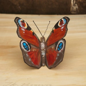 Metal Butterfly Sculpture, Scrap Metal, Peacock Butterfly, Oil Painted, Original Artwork, UK Wildlife. image 5