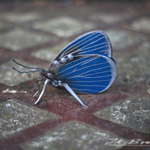 Escultura de mariposa azul acebo - Escultura de chatarra de 7,6 cm, obra de arte única, arte en metal, mariposa de metal