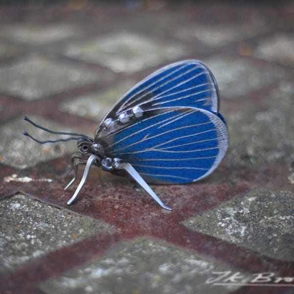Scrap Metal Holly Blue Butterfly Sculpture – Recycled Metal Art