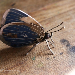 May include: A blue and gold metal butterfly sculpture with intricate details. The butterfly is made of recycled metal and has a steampunk aesthetic.