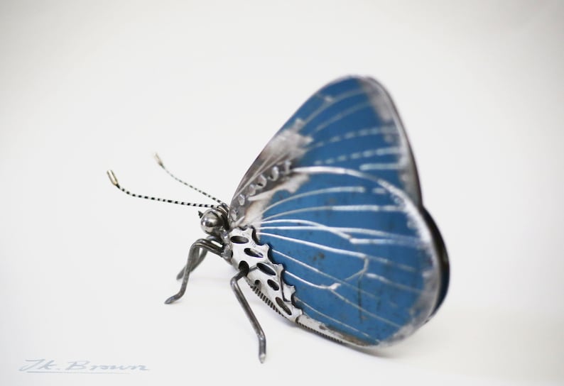 May include: A blue metal butterfly sculpture with intricate details. The wings are made of metal and have a blue paint finish. The butterfly is posed with its wings spread out.