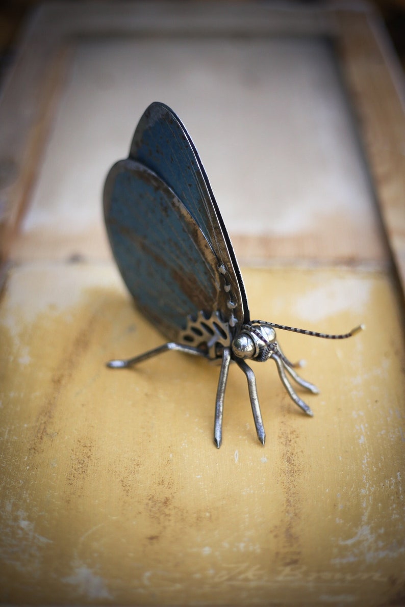 May include: A blue metal butterfly sculpture with a detailed, intricate design. The butterfly is made of recycled metal and has a rustic, aged look.