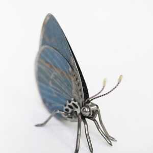 May include: A blue metal butterfly sculpture with intricate details. The wings are made of metal and have a textured surface. The butterfly is standing on six metal legs.