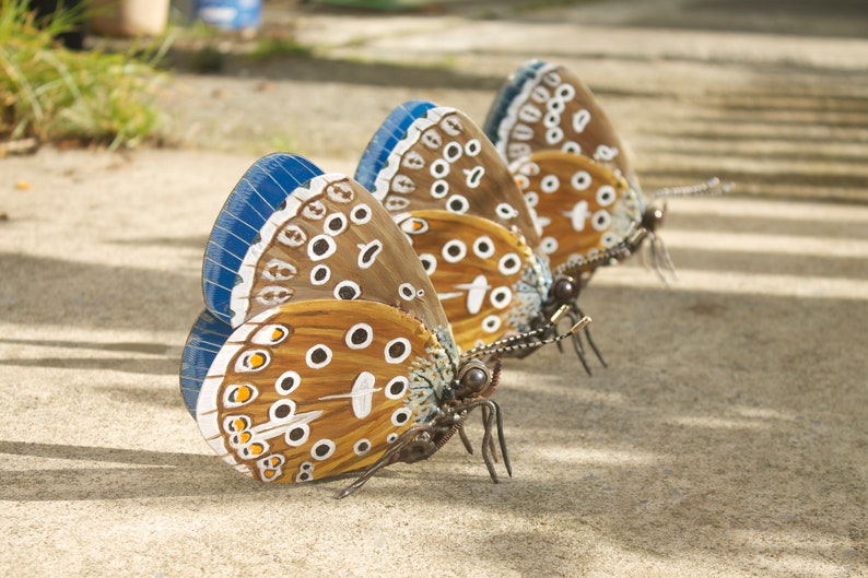 Metal Butterfly Sculpture Scrap Metal Adonis Blue Butterfly | Etsy