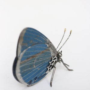 May include: A blue metal butterfly sculpture with intricate details and a signature on the wing. The sculpture is made of recycled metal and has a rustic, vintage look.