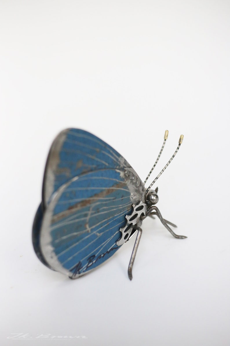 May include: A blue metal butterfly sculpture with intricate details and a signature on the wing. The sculpture is made of recycled metal and has a rustic, vintage look.